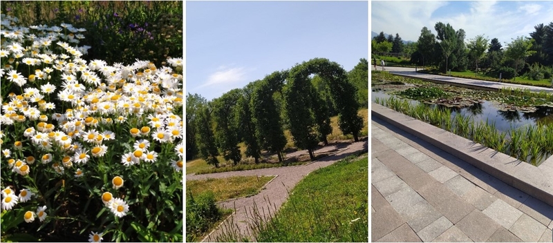 На фото: коллаж из фотографий с изображением ромашек, высоких деревьев и небольшого пруда в Ботаническом саду