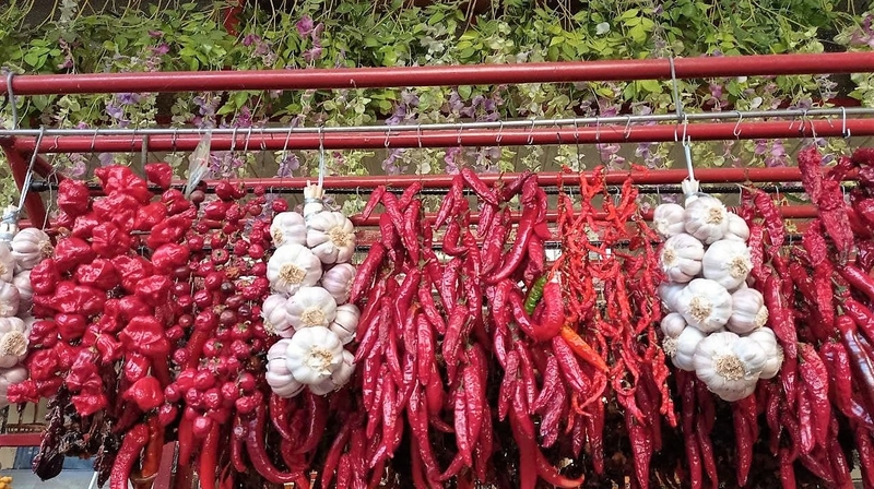 Image: peppers and garlic hang in rows on the counter