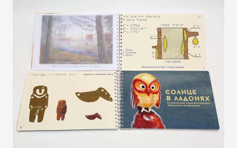 На фото: тактильная книга о янтаре «Солнце в ладонях»