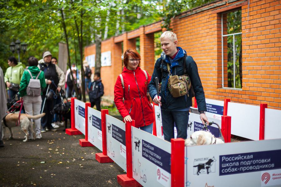 На фото: молодой человек в ветровке, с сумкой на груди, держит за шлейку собаку-проводника - лабрадора светлого окраса, и идет вдоль ограждения. За ним идет девушка в красной куртке с рыжими волосами. Позади них стоит группа людей, некоторые держат на шлейках собак