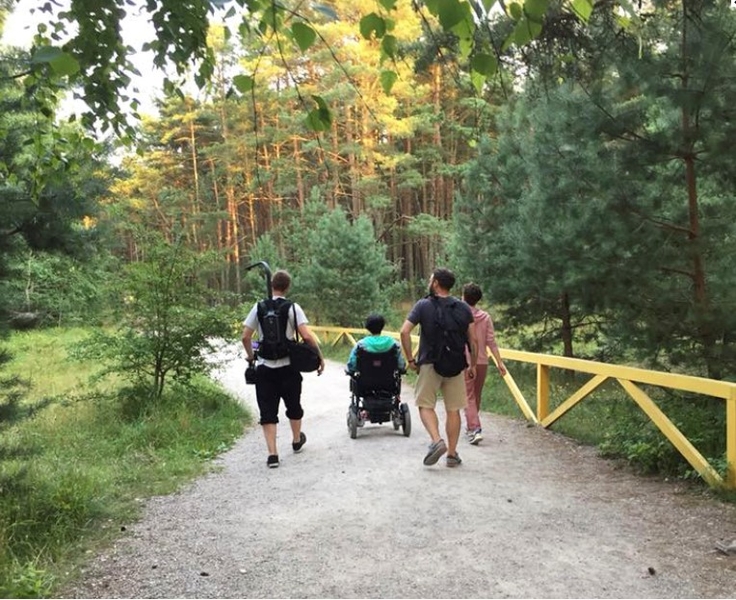 На фото: посетители парка в инвалидной коляске, сосновый лес